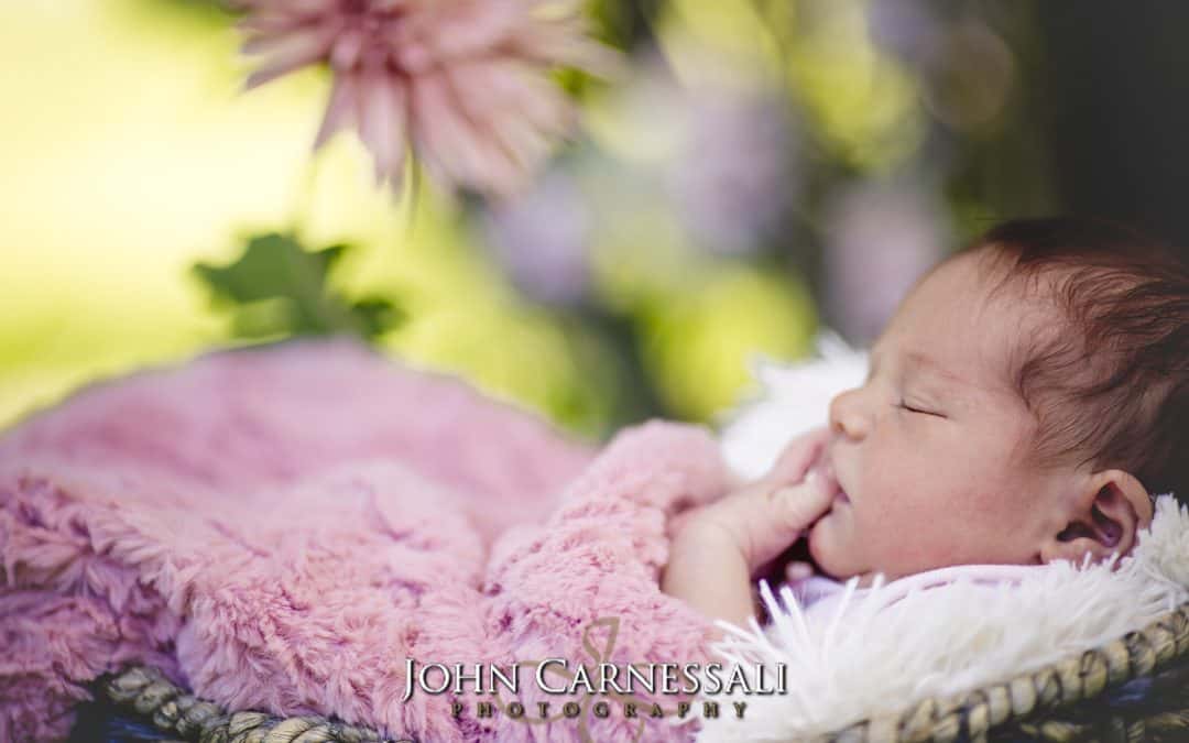 Syracuse, Family Photographer, Skaneateles photographers, Newborn photographers, Maternity photographers, near me, Fayetteville photographers, newborn, maternity, family, studio, photography studio