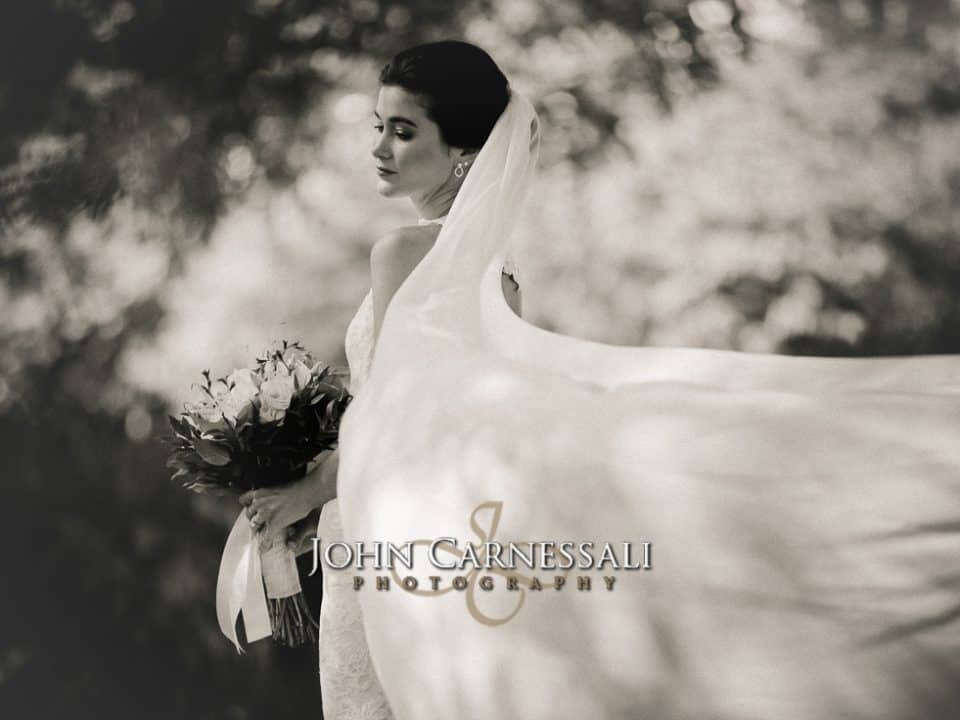 syracuse wedding photographers, Skaneateles wedding photographers, Auburn wedding photographers, Rochester wedding photographers, Ithaca wedding photographers