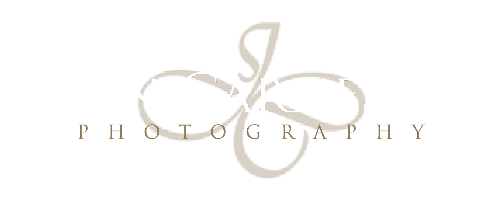 Logo with elegant serif font on dark background.