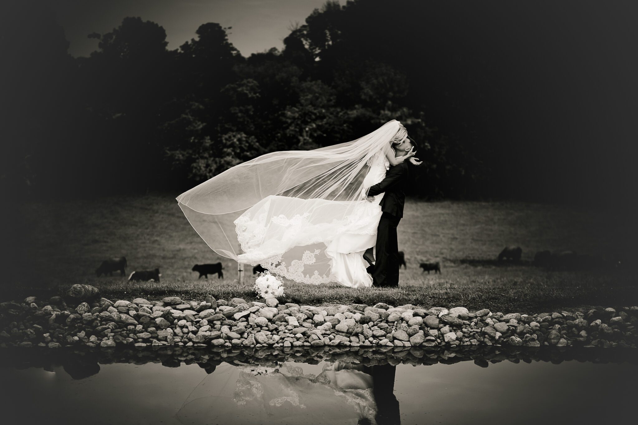 Syracuse Old Hickory Farm  Photographer