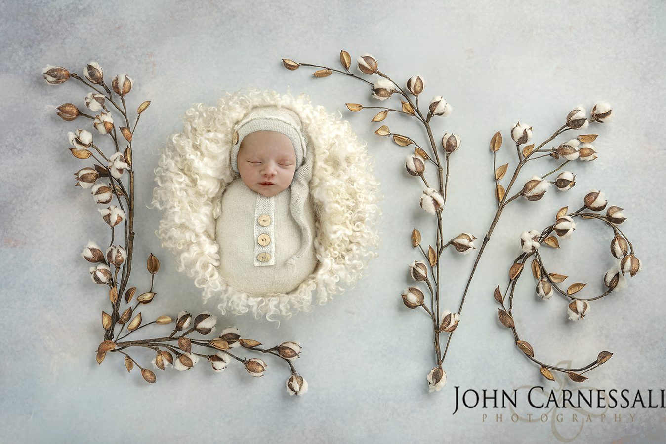 Newborn baby posed on a soft white setup with decorative branche