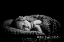 Photographers Syracuse NY Syracuse Family Packages and Prices, Family photographers, Syracuse Family Photographer, Family Photographers, Newborn photographers, newborn Photography, Family Photographers Syracuse, Newborn Syracuse, Syracuse Newborn Photographers, Syracuse Family Photography, Syracuse photographers, Skaneateles Family photographers, Auburn Family photographer, Fayetteville Family photographers, Family photographers near me, studio, Ithaca Family photographers, Oswego Family photographers, Syracuse Engagement Photographers, Syracuse Wedding Photography, Ithaca Family photographers, Baldwinsville Family Photographers, Baldwinsville photographers, Baldwinsville newborn photographers, Skaneateles newborn photographers, Newborn photographers skaneateles