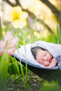 Newborn, Baby and Infant Photography Studio Syracuse Family Packages and Prices, Family photographers, Syracuse Family Photographer, Family Photographers, Newborn photographers, newborn Photography, Family Photographers Syracuse, Newborn Syracuse, Syracuse Newborn Photographers, Syracuse Family Photography, Syracuse photographers, Skaneateles Family photographers, Auburn Family photographer, Fayetteville Family photographers, Family photographers near me, studio, Ithaca Family photographers, Oswego Family photographers, Syracuse Engagement Photographers, Syracuse Wedding Photography, Ithaca Family photographers, Baldwinsville Family Photographers, Baldwinsville photographers, Baldwinsville newborn photographers, Skaneateles newborn photographers, Newborn photographers skaneateles