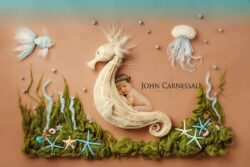 A whimsical sea horse sculpture surrounded by sea stars and jellyfish.