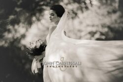 syracuse wedding photographers, Skaneateles wedding photographers, Auburn wedding photographers, Rochester wedding photographers, Ithaca wedding photographers
