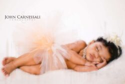 About Photographers Syracuse NY About Photographers Syracuse NY