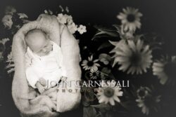 Photographers Syracuse NY photographers syracuse ny, syracuse photographer, wedding photographer Syracuse, wedding photographers Syracuse, Syracuse wedding photographer, Syracuse wedding photographers