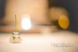 photographers syracuse ny, syracuse photographer, wedding photographer Syracuse, wedding photographers Syracuse, Syracuse wedding photographer, Syracuse wedding photographers