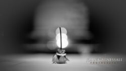 photographers syracuse ny, syracuse photographers, syracuse photographer, wedding photographer Syracuse, wedding photographers Syracuse, Syracuse wedding photographer, Syracuse wedding photographers, Wedding photographer Syracuse ny, Syracuse ny wedding photographers, Wedding photographers near me