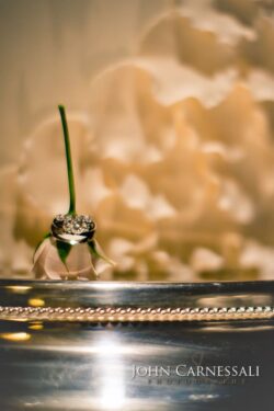 photographers syracuse ny, syracuse photographers, syracuse photographer, wedding photographer Syracuse, wedding photographers Syracuse, Syracuse wedding photographer, Syracuse wedding photographers, Wedding photographer Syracuse ny, Syracuse ny wedding photographers, Wedding photographers near me