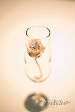 photographers syracuse ny, syracuse photographers, syracuse photographer, wedding photographer Syracuse, wedding photographers Syracuse, Syracuse wedding photographer, Syracuse wedding photographers, Wedding photographer Syracuse ny, Syracuse ny wedding photographers, Wedding photographers near me