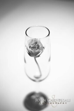 photographers syracuse ny, syracuse photographers, syracuse photographer, wedding photographer Syracuse, wedding photographers Syracuse, Syracuse wedding photographer, Syracuse wedding photographers, Wedding photographer Syracuse ny, Syracuse ny wedding photographers, Wedding photographers near me