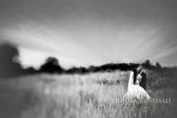 photographers syracuse ny, syracuse photographers, syracuse photographer, wedding photographer Syracuse, wedding photographers Syracuse, Syracuse wedding photographer, Syracuse wedding photographers, Wedding photographer Syracuse ny, Syracuse ny wedding photographers, Wedding photographers near me