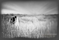 photographers syracuse ny, syracuse photographers, syracuse photographer, wedding photographer Syracuse, wedding photographers Syracuse, Syracuse wedding photographer, Syracuse wedding photographers, Wedding photographer Syracuse ny, Syracuse ny wedding photographers, Wedding photographers near me