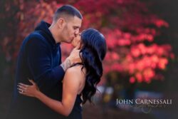 Syracuse Engagement Photographers Syracuse NY Engagement Photographer