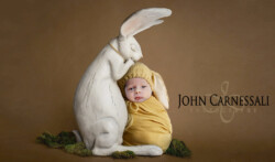 Best Family Photographer in Syracuse NY