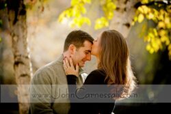 engagement photos with classic park scenery—lush greens, soft bokeh, and timeless couple posing.