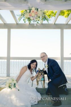 Bride and groom with dog at wedding.