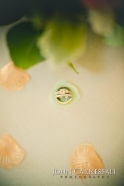 Wedding rings with flower petals on table.