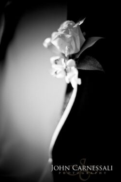 Close-up of a boutonniere on suit.