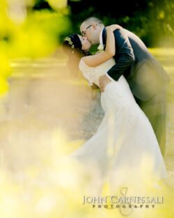 Bride and groom posed formal portrait with greenery at Bayshore Grove in Oswego NY