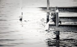 Bride and groom sitting on dock together.