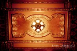 Ornate ceiling with central decorative light fixture.