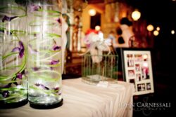 Vases with purple flowers on table.