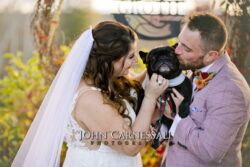 Bride and groom with dog posing outdoors in Upstate NY