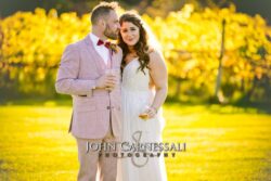 Formal Pictures onf bride and groom in Vineyards