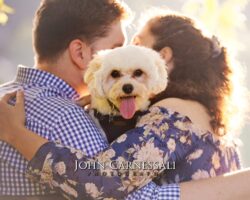 engagement photo of couple holding a small fluffy dog, lifestyle couples portrait outdoors in Onondaga Parkark