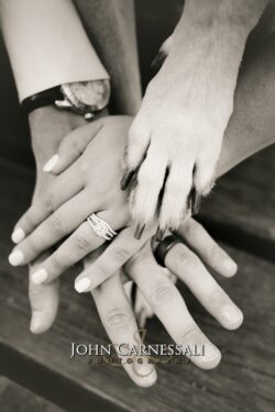 Close-up of hands showing wedding rings