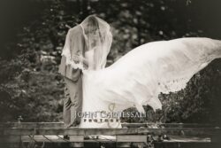 Black and white veil portrait of the newlyweds