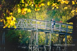 engagement photo of couple on a pedestrian bridge surrounded by fall colors