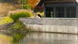 Bride and groom kissing by stone wall
