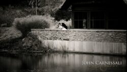 Couple kissing on stone wall by pond