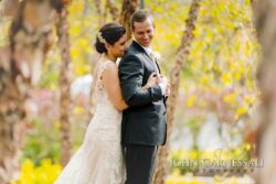 Bride hugging groom among birch trees
