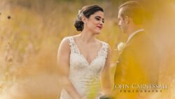 Bride and groom in a field setting.