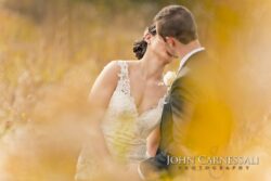 Bride and groom kissing in a field.