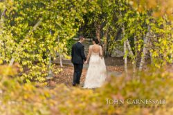 Bride and groom walking through autumn trees.