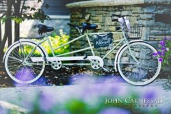 Tandem bicycle with "Just Married" sign.