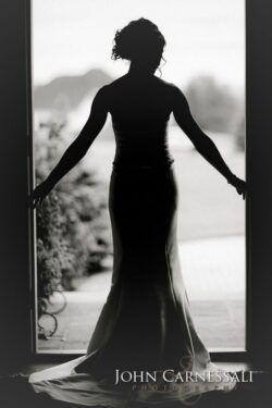 Gowned silhouette at entrance with train