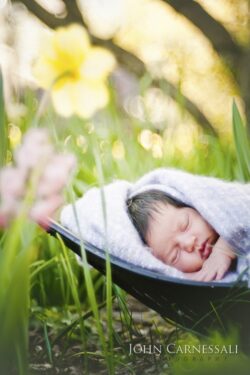 Sleeping newborn wrapped in a blanket inside a small basket outdoors