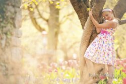 Young child partially hidden behind a tree in soft sunlight