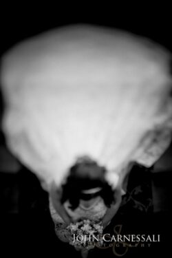 Black and white overhead bridal veil portrait