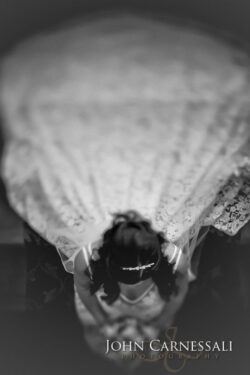 Black and White Veil Portrait at Mirbeau Inn & Spa in Skaneateles NY Black and white overhead portrait of the bride under her veil