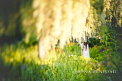 Dreamy outdoor wedding portrait with soft blurred light