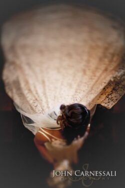 Overhead portrait of the bride beneath her veil