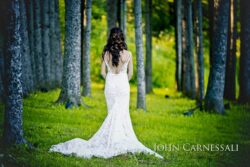 Bride standing alone among tall trees