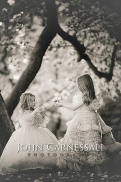 Black and white portrait of two girls under blossoms